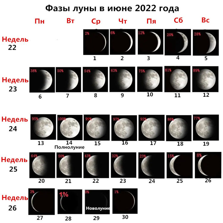 Фаза луны|Полнолуние на июнь 2022-САМЫЙ ТОЧНЫЙ Лунный календарь на Июнь 2022  года