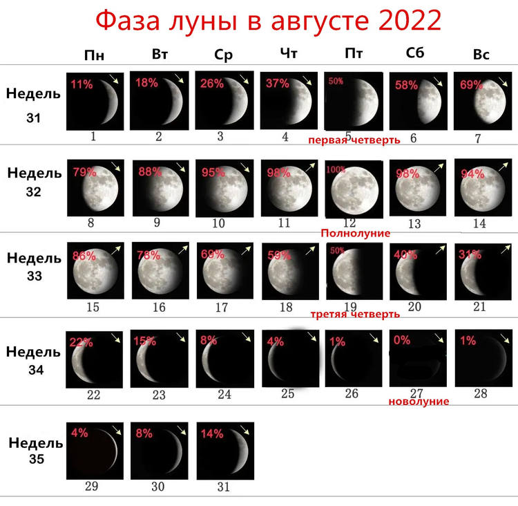 Фаза луны в августе 2022 по дням |Какая фаза луны сегодня?-Новолуние,Полнолуние,  растушая и убывающая луна