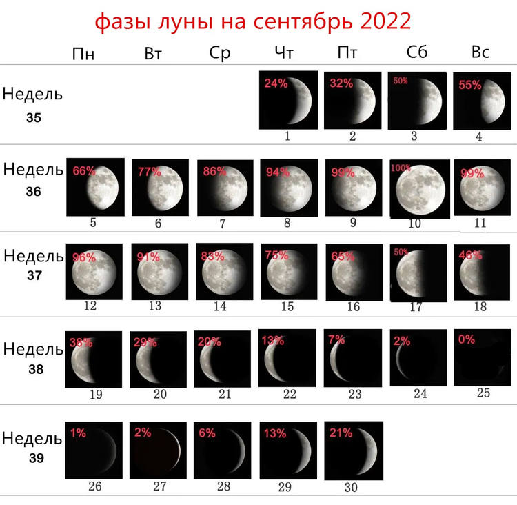 Лунный календарь на СЕНТЯБРЬ 2022 года|календарь стрижек| Лунный посевной  календарь